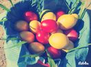 IMG_20150411_170223