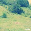 IMG_20150530_144641