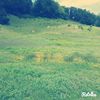 IMG_20150530_151054