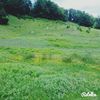 IMG_20150530_151149