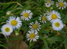 DSCN4584