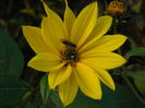 DSCN4586