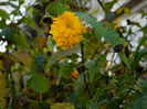 DSCN4644
