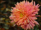 DSCN4669