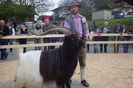 Tap Walliser premiat-bvg7