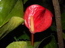 DSCN4734