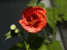 DSCN4744