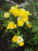 DSC04615