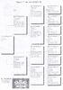PEDIGREE BUNIC-2-RO-1014720-M