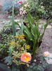 DSC01222