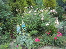 DSC01611