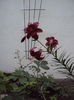 DSC02191