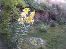 DSC02213