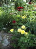 DSC02186