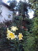 DSC02251