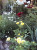 DSC02273