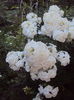 DSC02280