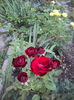DSC02284