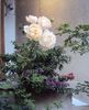 DSC02321