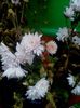 20151128_085308