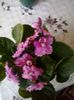 20150307_172631