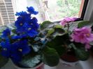 20150418_180520