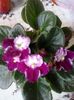 20150507_181717