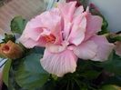 CAM00150