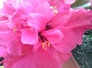 CAM00153