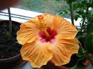 IMG_20140908_083438