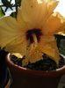 IMG_20150316_154634