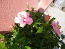 IMG_20150730_110630