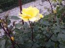 CAM00417