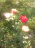 CAM00479