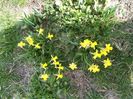 IMG_20150325_125203