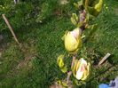 IMG_20150420_160616
