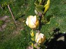 IMG_20150422_145311