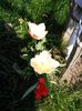 IMG_20150413_135809