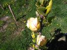 IMG_20150422_145316