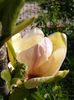 IMG_20150423_161220