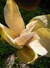 IMG_20150423_161204