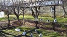 20151130_101712