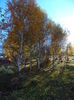 DSC01780