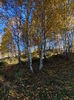 DSC01781