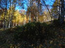 DSC01782
