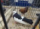 DSC07601