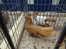 DSC07609