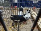 DSC07630
