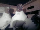 P010109_00.23_[02]
