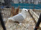 DSC07690